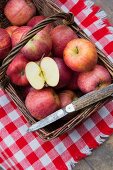 Apples (Royal Gala) in a basket with a knife on a checked picnic blanket