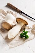 King trumpet mushrooms (Pleurotus eryngii) with parsley on packing paper, with a knife
