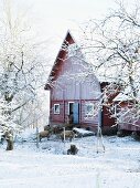 Sheep outside a farm, Sweden.