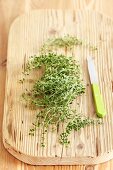 Fresh lemon thyme on a chopping board with a knife