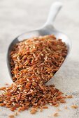 Red rice