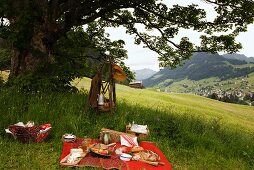 A picnic with a beautiful mountain view