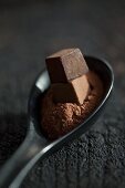 Cocoa powder and cubes of chocolate in a porcelain spoon