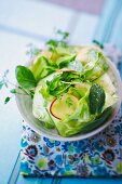Lettuce with cucumbers, nectarines and herbs