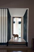 Corridor with floor-to-ceiling metal bars surrounding set of steps and dog on landing leading to French window