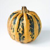 A yellow and green striped squash