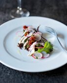 Anchovy salad with radishes