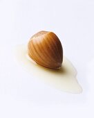 A hazelnut in a small pool of nut oil