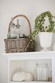 Still-life arrangement in country-house kitchen with basket, house plant and empty screw-top jar on white shelves