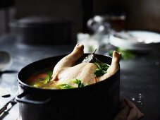 Chicken soup in a stock pot