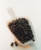 Juniper berries in a plastic scoop