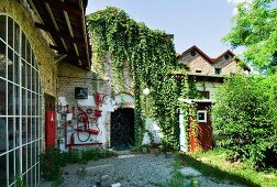 Hinterhof einer ehemaligen Fabrik mit bewachsener Ziegelfassade und sonnenbeschienener Garten