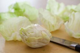 Cabbage Leaves