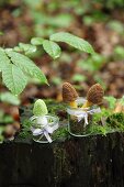 Crocheted toadstools in jars on mossy tree stump