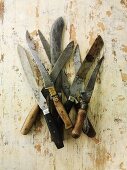 Assorted old kitchen knives
