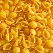 Pasta shells (filling the image)