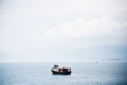 Vietnamesisches Fischerboot