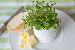 Fresh cress in a pot, slices of white bread, and butter
