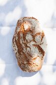 A rustic loaf of bread on a sunny table