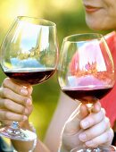Paar trinkt Rotwein in einem Weinberg