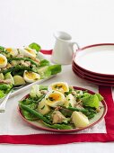 Warmer Thunfischsalat mit Ei, Kartoffeln und grünen Bohnen