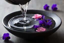 Water being poured into bowl of violets