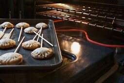 Freshly baked biscuits on sticks in front of an oven
