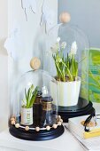White grape hyacinths and antique binoculars below glass covers decorated with wooden beads