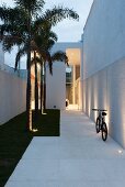Narrow entrance path between tall white walls with recessed lamps in large paving slabs and small lawn with palm trees