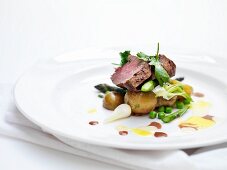 Beef steak with a vegetable salad