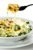 Spinach Spätzle (soft egg noodles from Swabia) topped with melted cheese