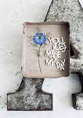 Pressed love-in-a-mist flower (Nigella 'Moody blues') next to affectionate message arranged in cardboard box lid on large metal letter