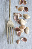 Small shells and an old silver fork