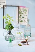 Various apothecary jars and lady's mantle leaves and flowers