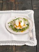 Poached egg with ham salad and bean sprouts