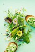 Spring salad with avocado and cucumber crostini