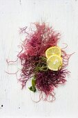 Red seaweed and yuzu slices