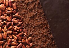 Cocoa beans, cocoa powder and chocolate