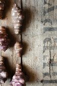 A row of Jerusalem artichokes on a rustic wooden surface