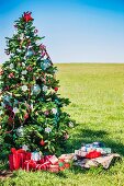 Christmas presents under decorated fir tree on meadow outside