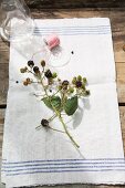 A sprig of blackberries on a garden table