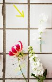 Artistic arrangement of summer flowers stuck to white-tiled wall with washi tape