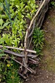 Hochbeeteinfassung aus Ästen im Bauerngarten