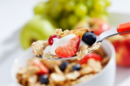 Cornflakes mit verschiedenen Früchten (Close Up)