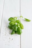 Fresh basil on a white wooden surface
