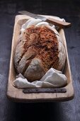 Country bread in a rustic wooden dish
