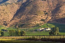 Ausläufer der Anden mit Blick auf das Weingut Haras de Pirque, Pirque, Maipo Valley, Chile