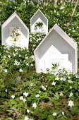 Floral postcards in house-shaped display cases amongst carpet of flowering wood anemones