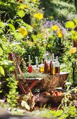 Verschiedene Kräuteröle in Flaschen auf rustikalem Gartentisch