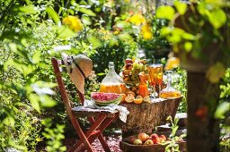 Früchte und Säfte in sonnigem Garten